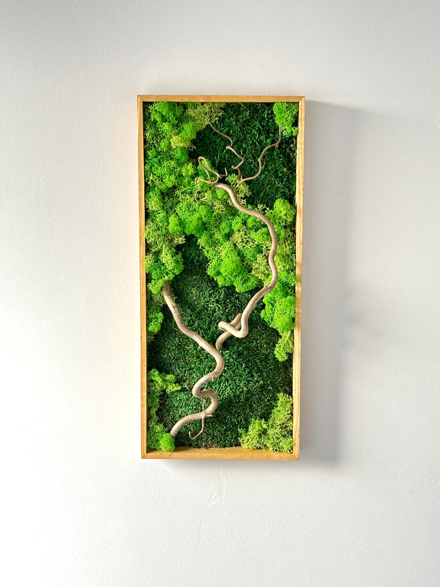 Tableau végétal stabilisé « Sylva »