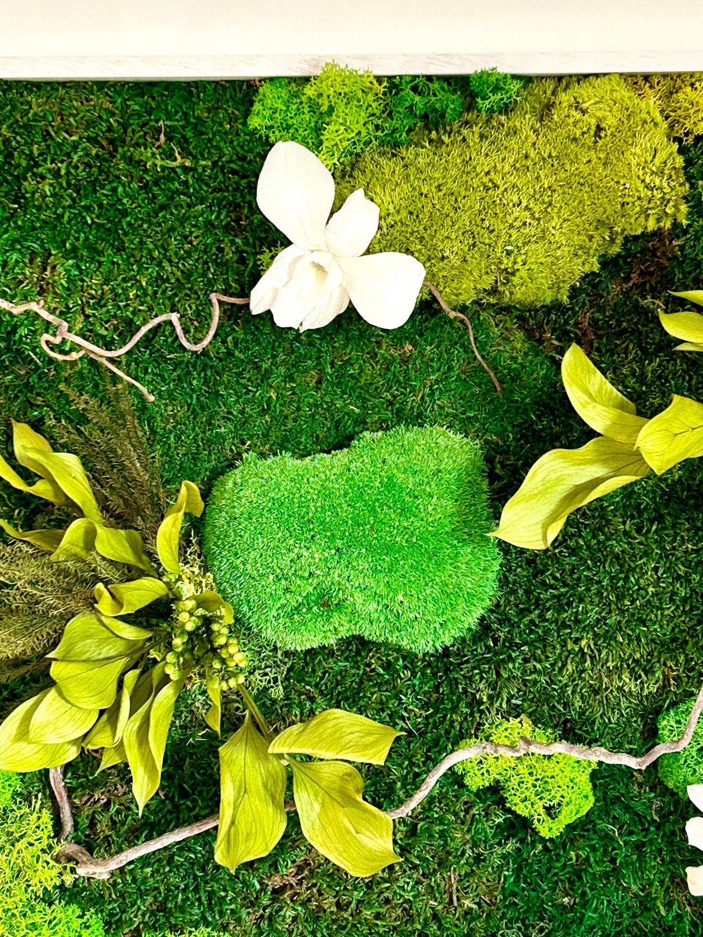 Panneau végétal stabilisé «Eden» avec orchidées blanches