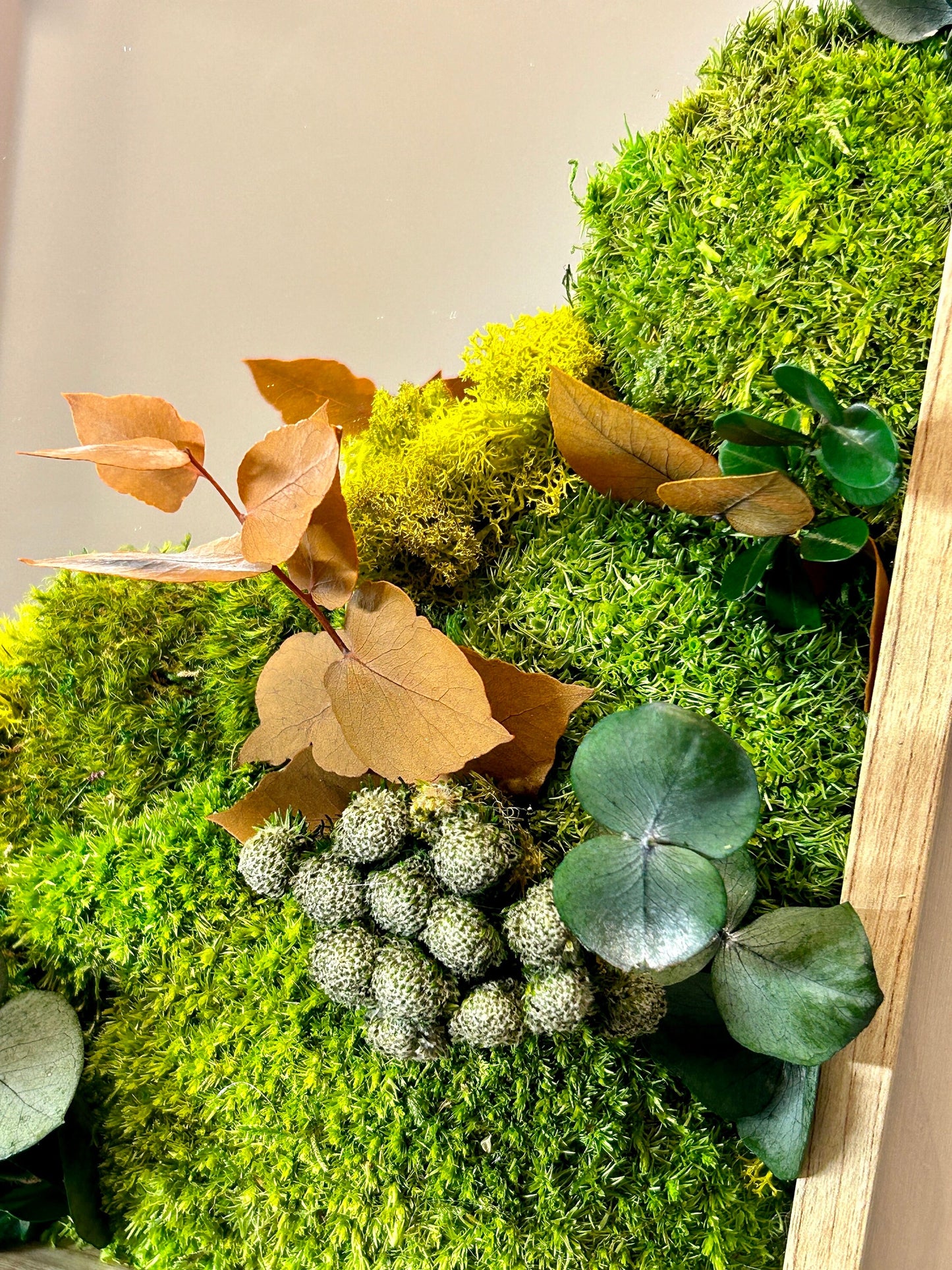 Miroir végétal stabilisé “Tu es belle”