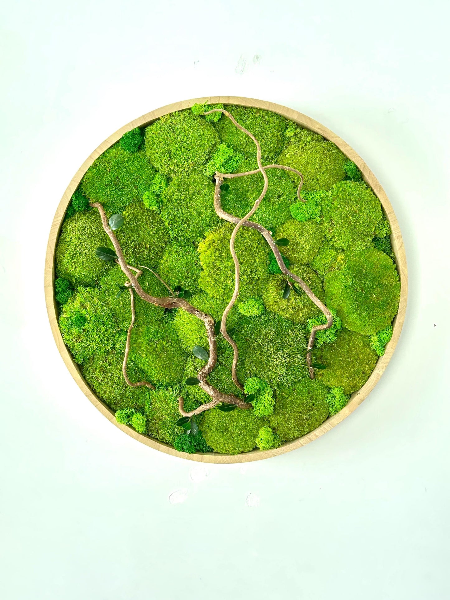 Tableau végétal stabilisé “Auréa”