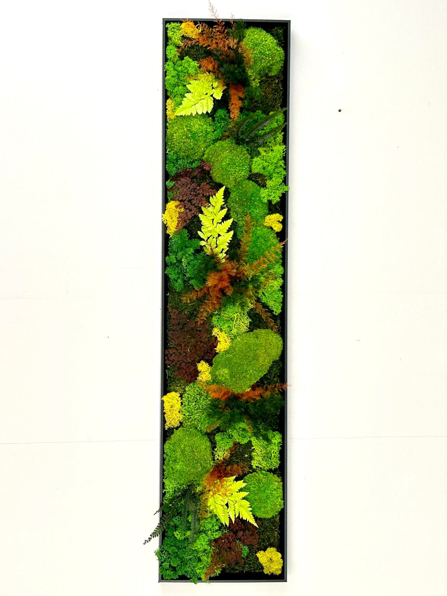 Tableau végétal stabilisé panoramique « Aria »