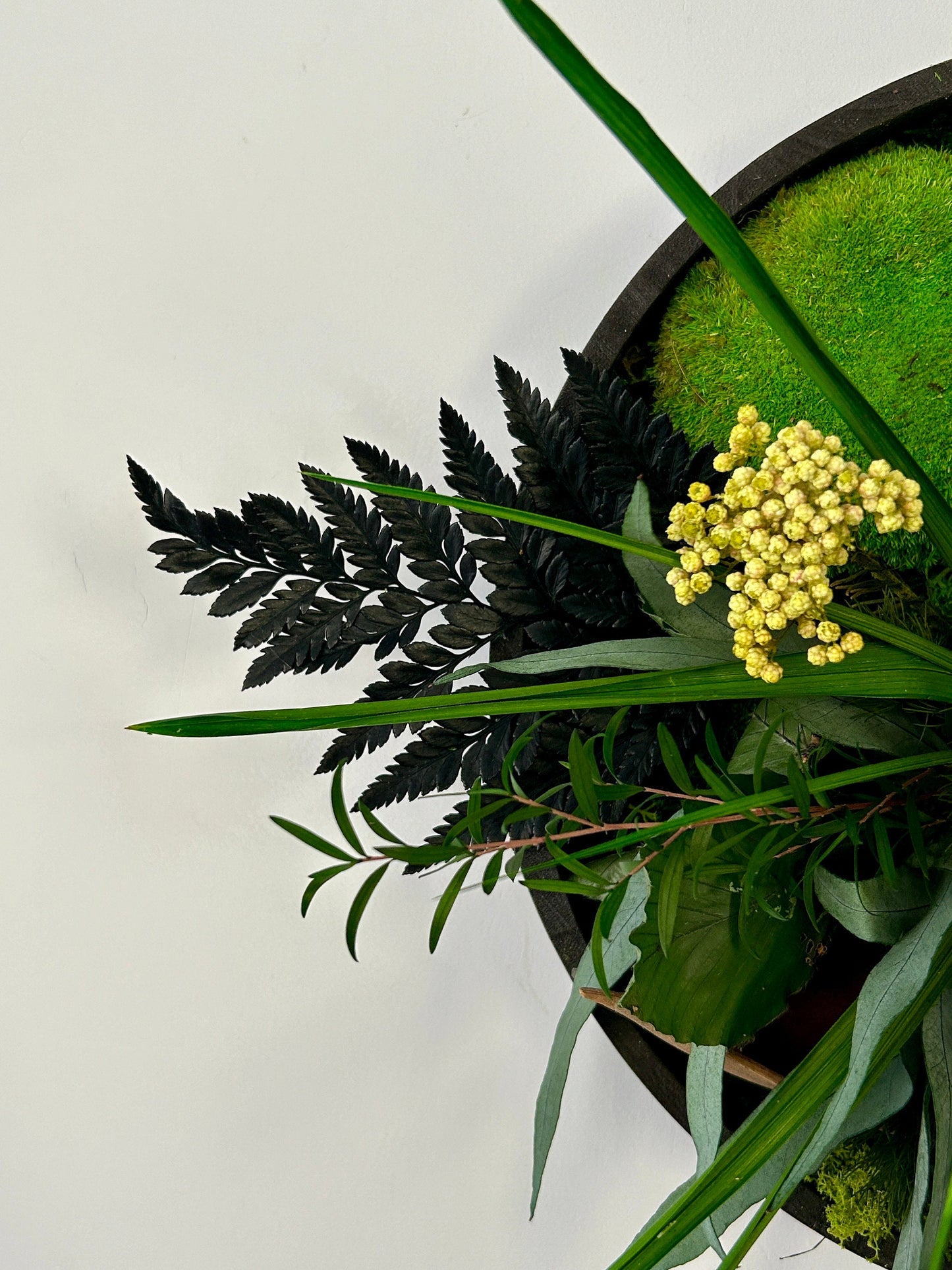 Cadre végétal stabilisé “Exotique”