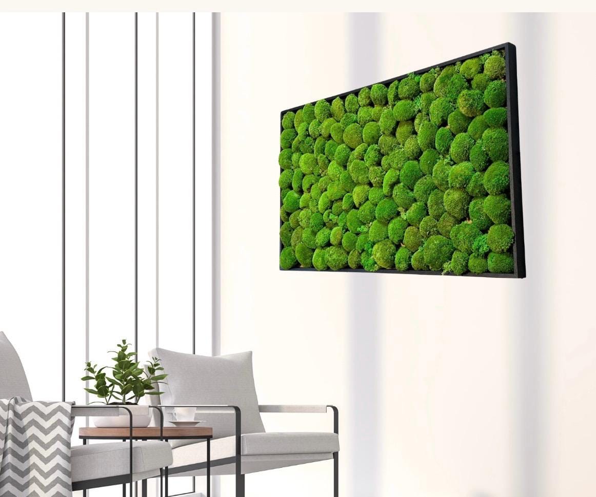 Tableau végétal stabilisé “Isla”
