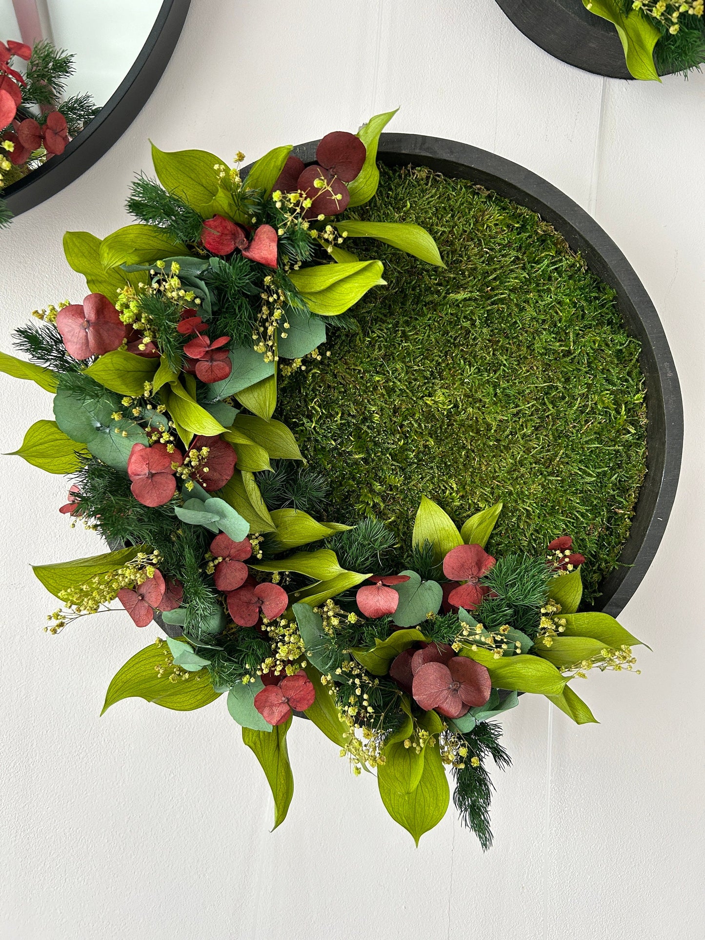 Trio végétal stabilisé “Phases de lune”