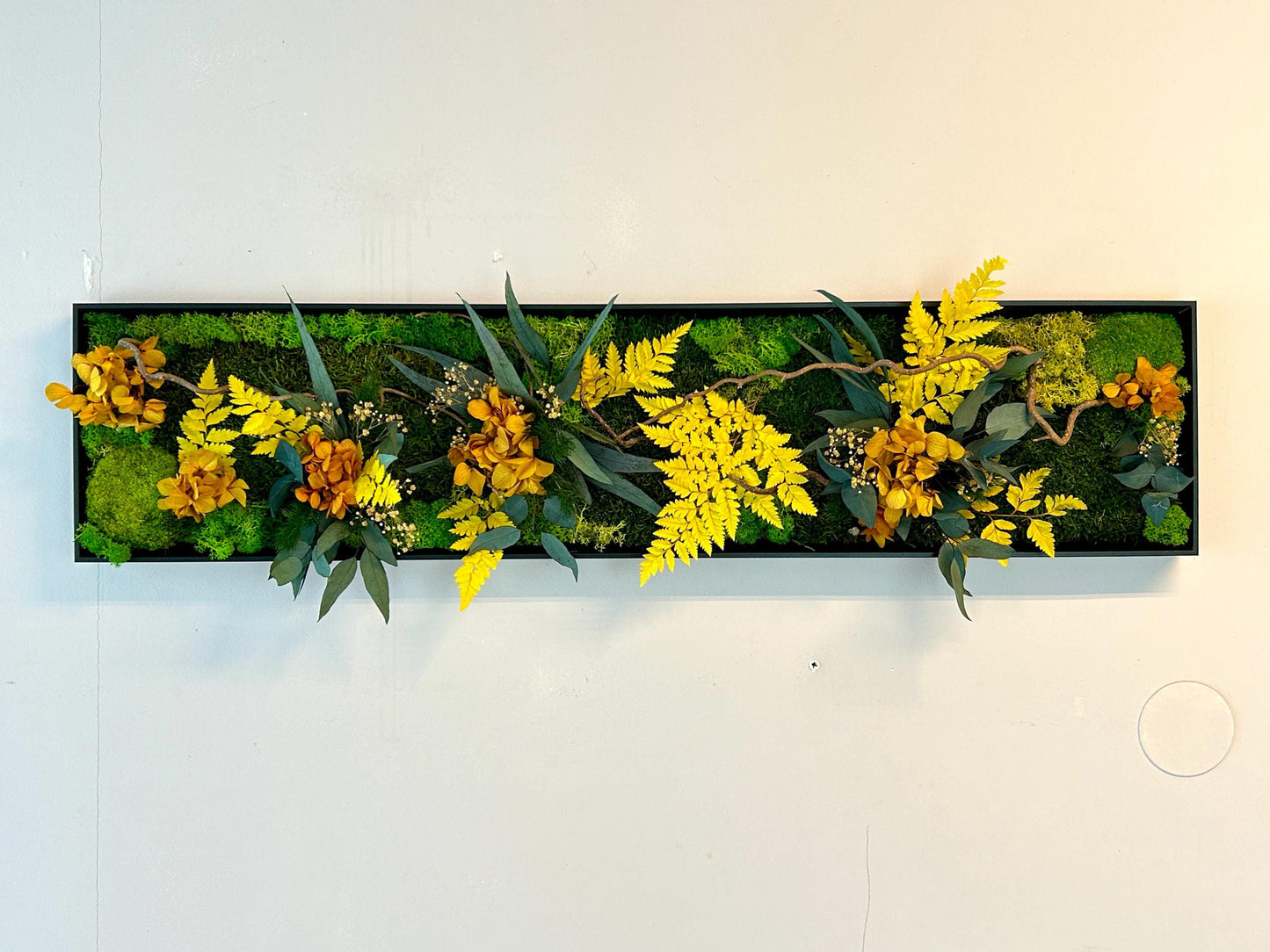 Tableau végétal stabilisé “Éclat Solaire”