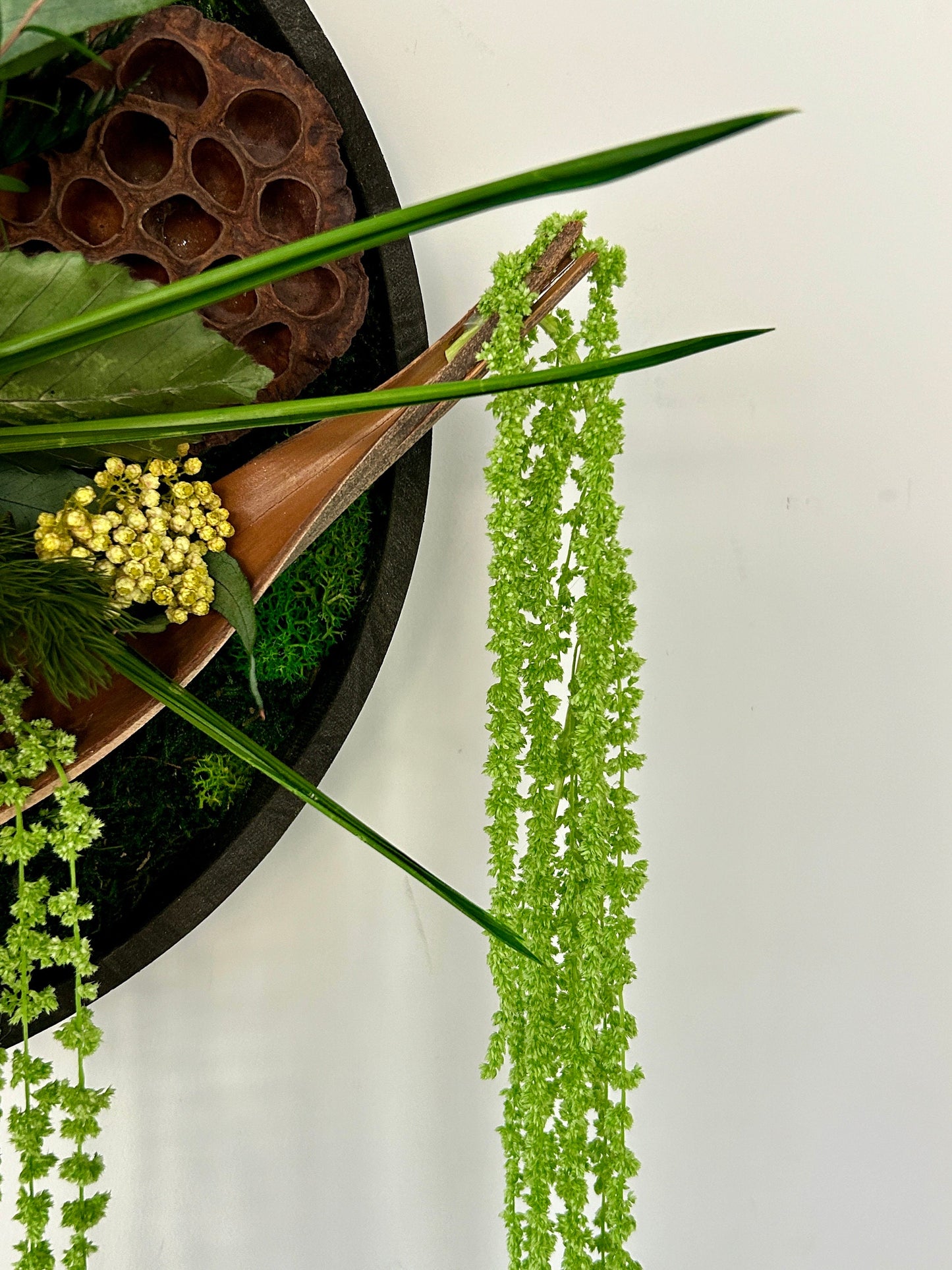 Cadre végétal stabilisé “Exotique”