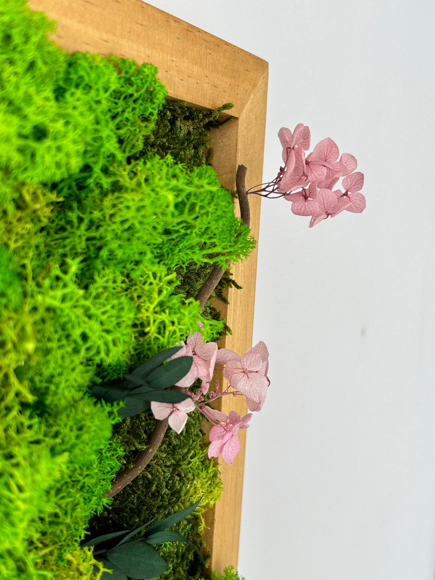 Cadre végétal stabilisé carré « Sakura »