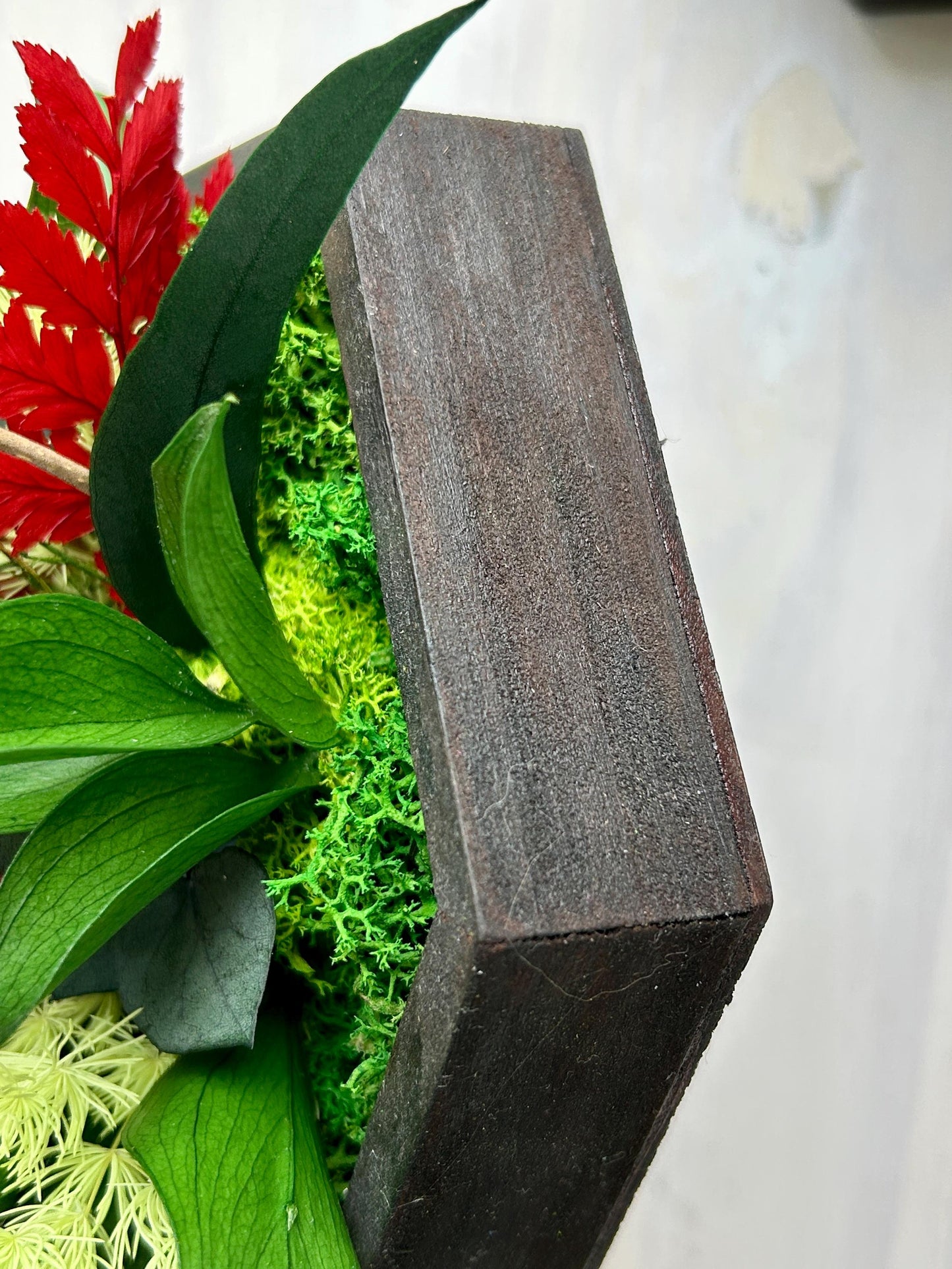 Ensemble de 4 cadres végétaux stabilisés – “Jeu de formes”