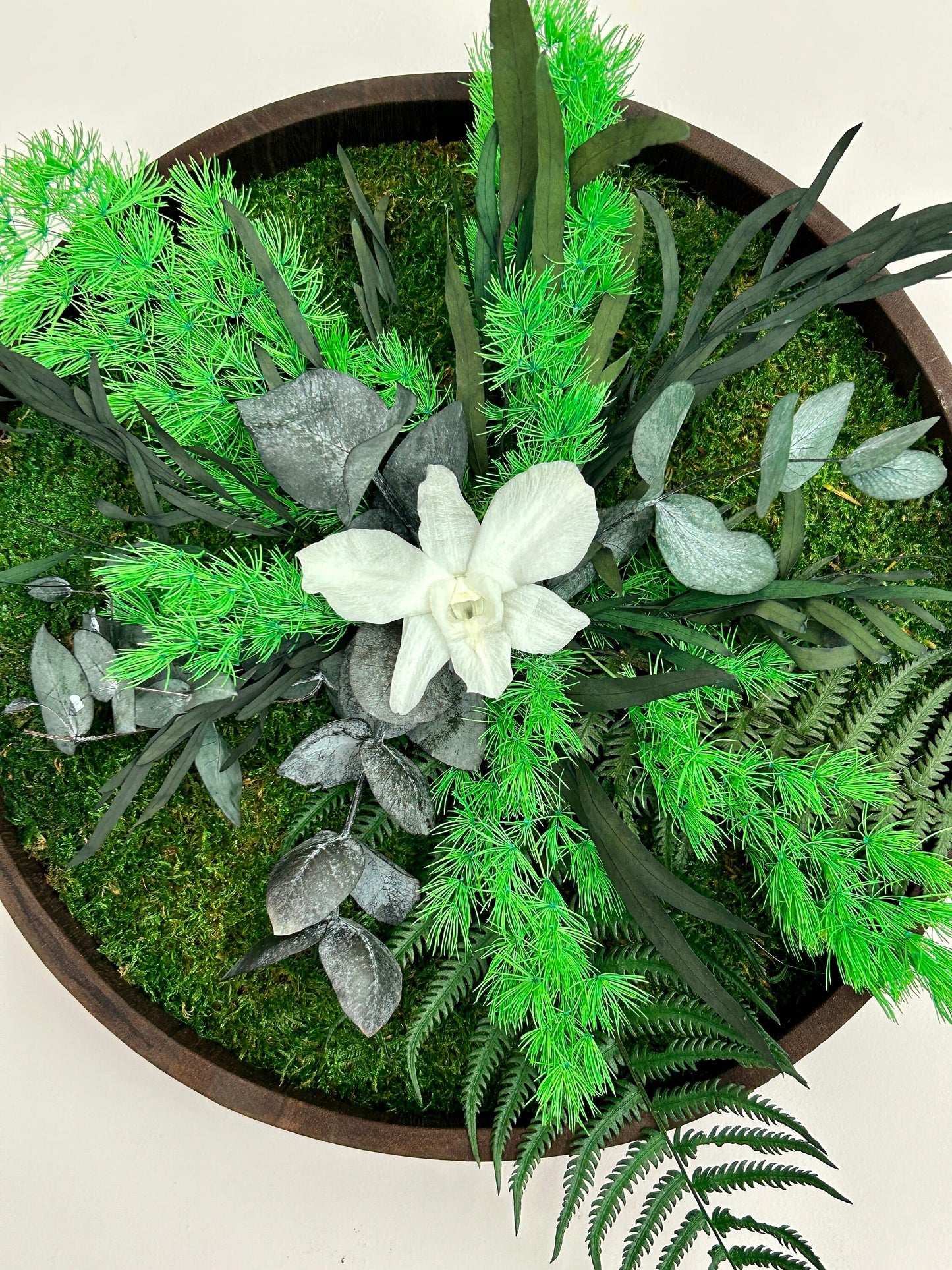 Duo végétal stabilisé “Selena”