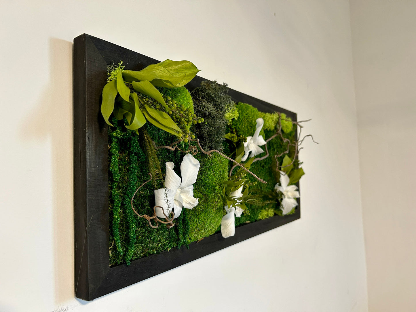 Tableau végétal stabilisé “Cattleya”