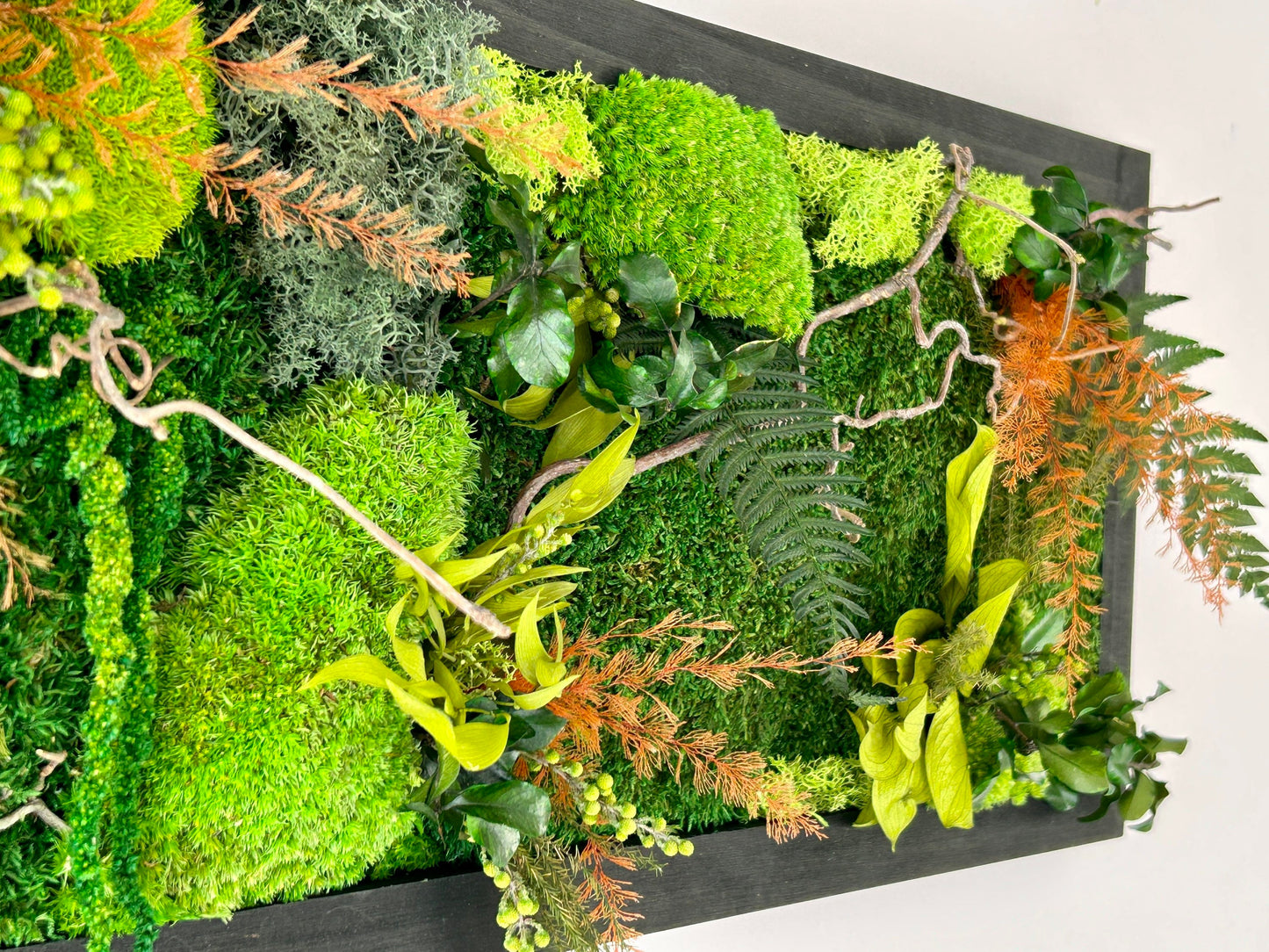 Tableau végétal stabilisé « Alice » - Cadeau nature – Décoration zen