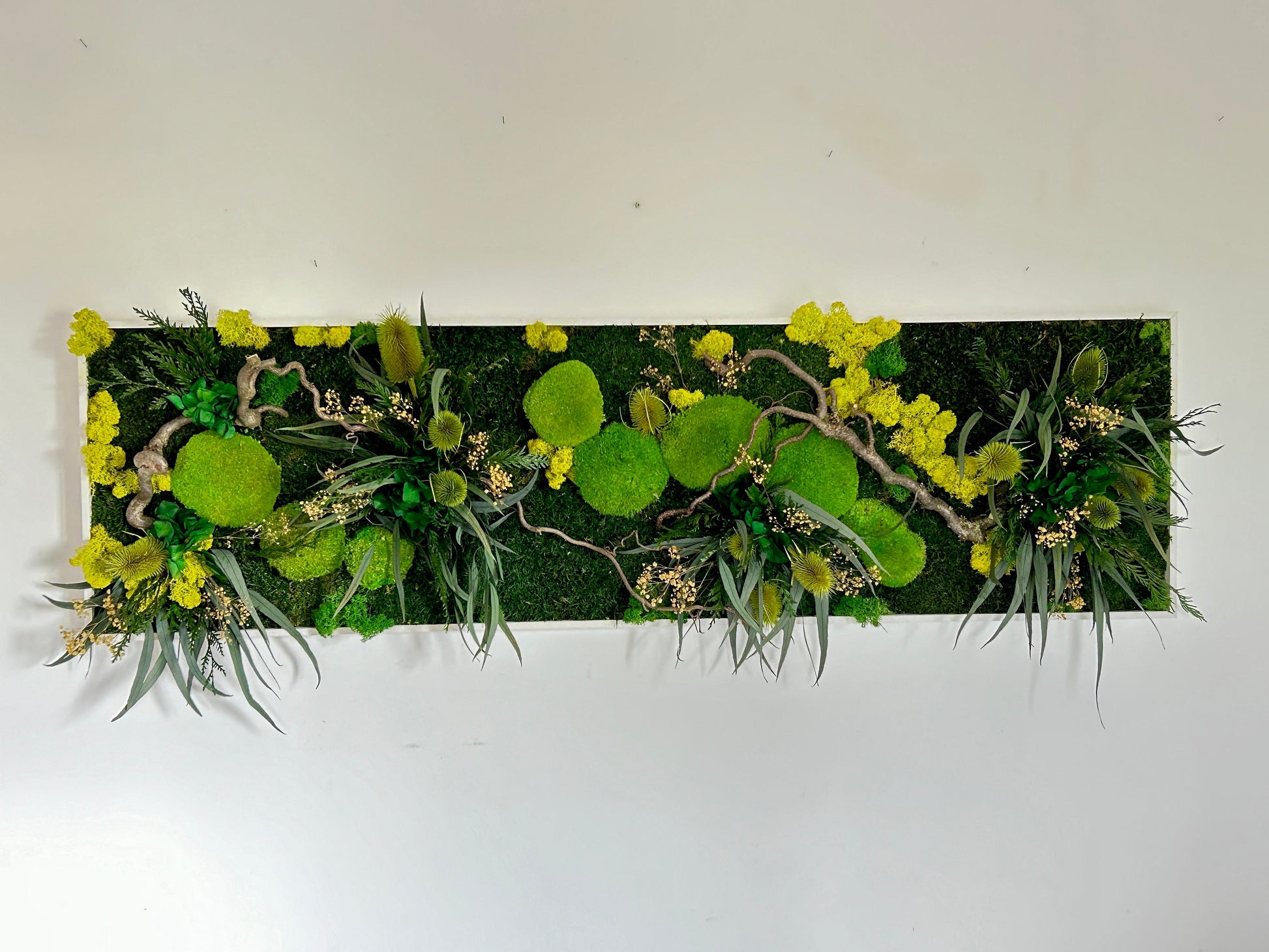 Grand panneau végétal, tableau végétal 1 m, tableau végétale panoramique, mur végétal, cadre végétal stabilisé